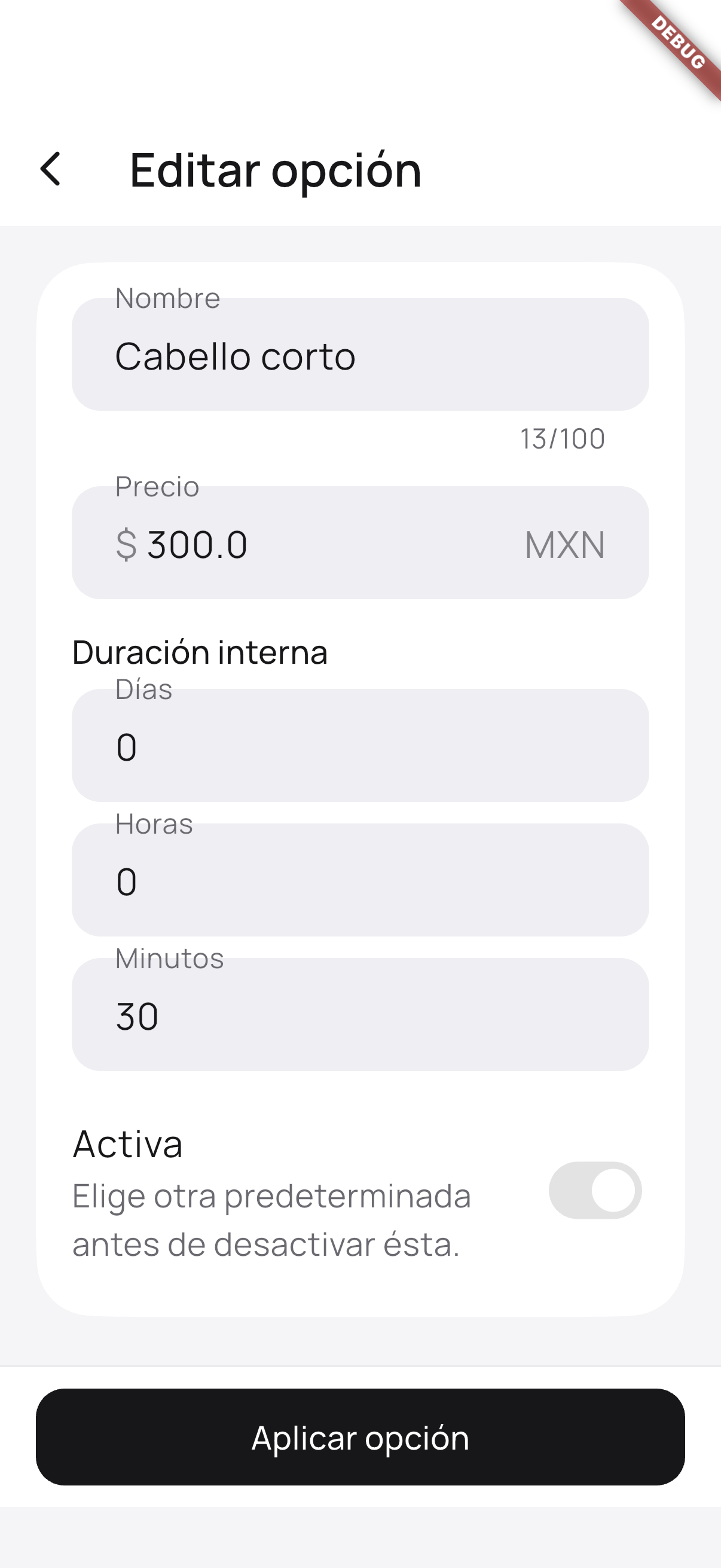 Captura de Flutter: formulario de una opción de servicio con datos de prueba