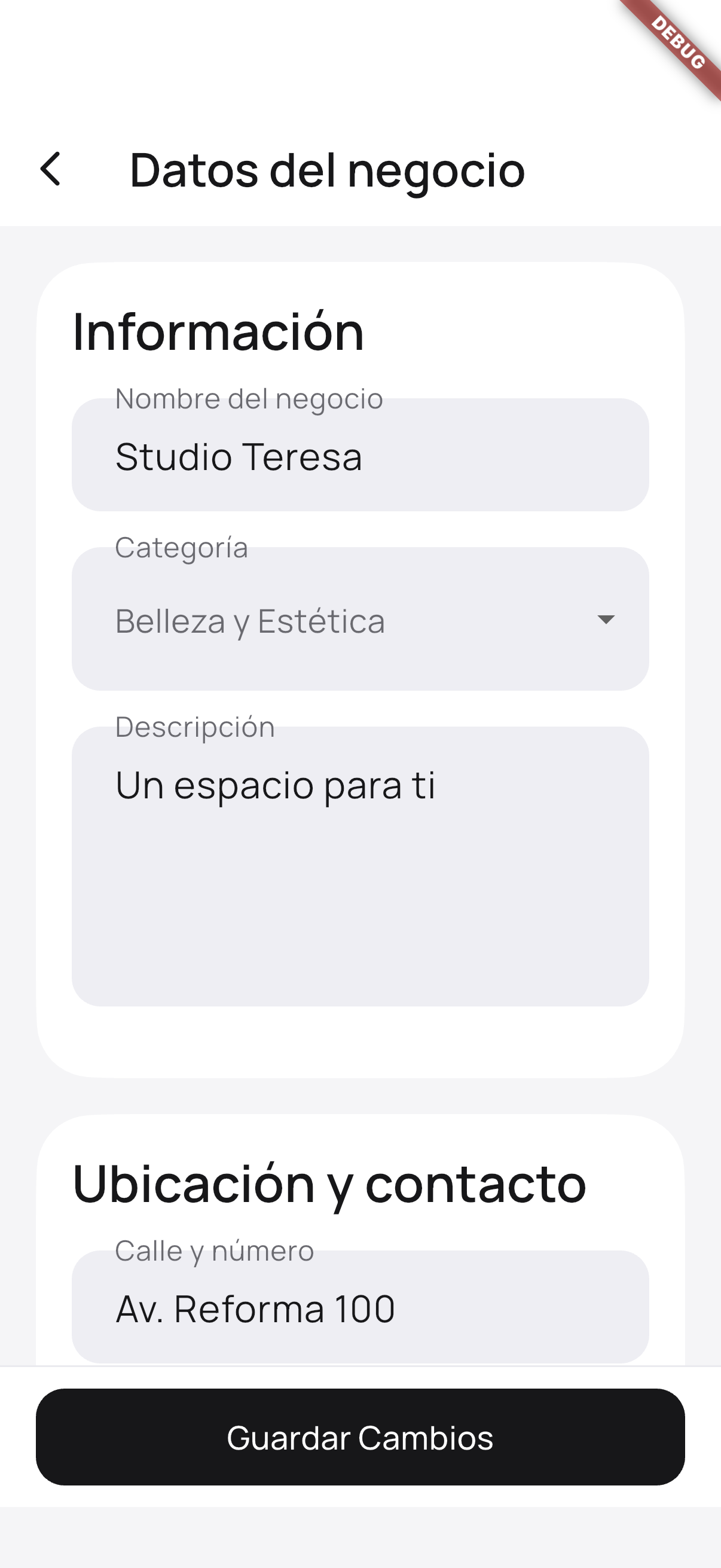 Captura de Flutter: edición de datos de un negocio de ejemplo