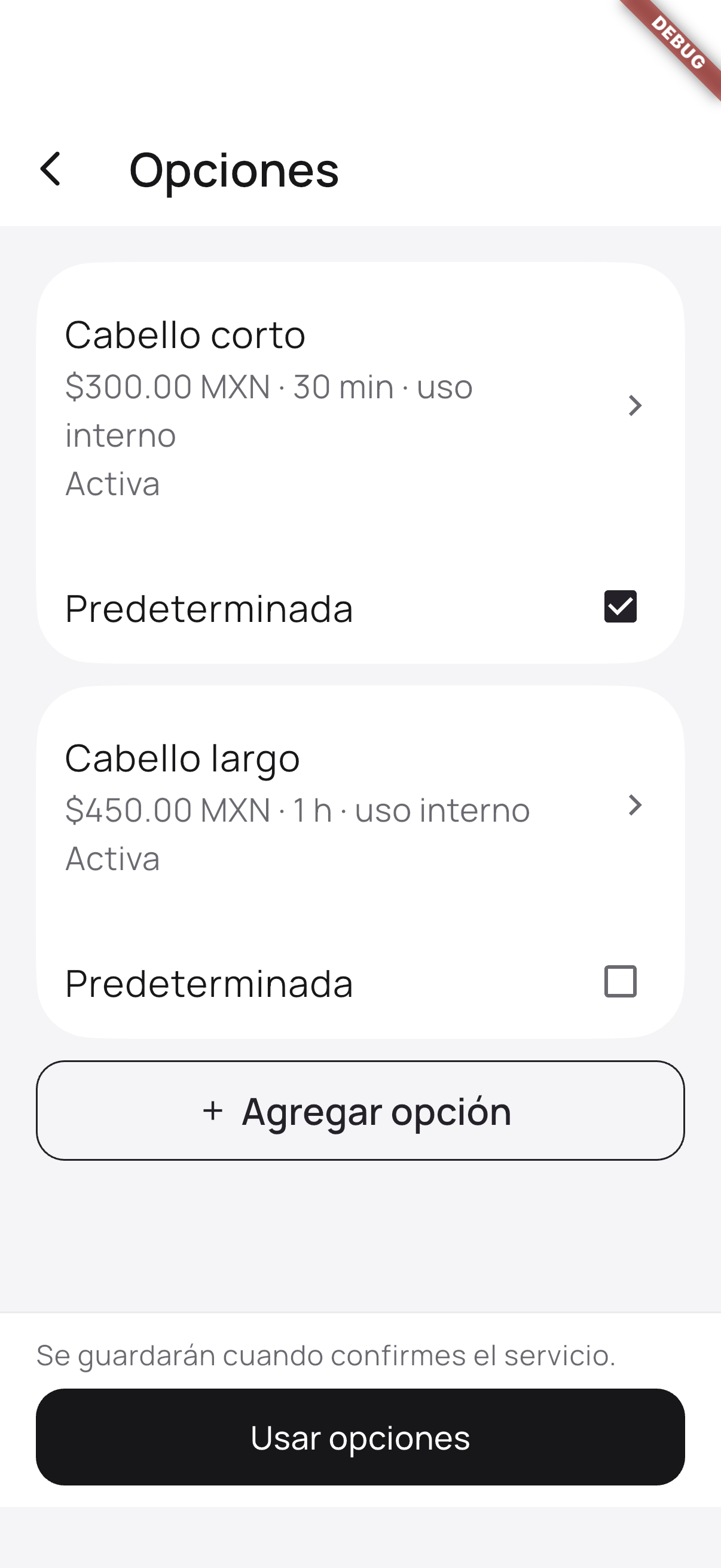 Captura de Flutter: lista de opciones de un servicio de ejemplo